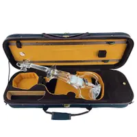 在飛比找蝦皮購物優惠-最新款JYC Music SV-600 水晶靜音提琴-聲光同