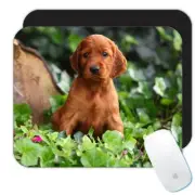 Gift Mousepad : Cocker Spaniel Dog Pet Puppy Animal Canine Pets Dogs
