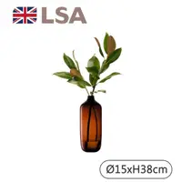 在飛比找momo購物網優惠-【LSA】VESSEL窄口花瓶H38cm-琥珀色(英國手工玻