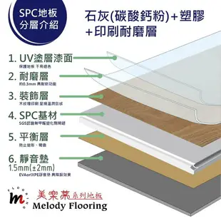 [美樂蒂地板]SPC石塑卡扣式防水地板-含靜音墊8mm厚-Q系列Q166