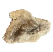 Black Botryoidal Chalcedony Specimen - Standing - A