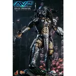 🌟挑戰最低價🌟HOTTOYS MMS221 鬼面終極戰士 異形戰場 AVP 凱爾特隊長 非MMS190 MMS250