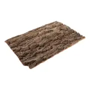 Bark Background Board Baby Reptile Tank Supplies Cork For Reptiles