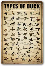 Type of Duck Tin Sign Duck Hunting Decor Mallard Ducks Knowledge Metal Signs