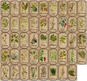 Herb And Spice Apothecary Labels Vintage Labels Stickers For Jars Bottles Tags