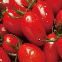 在飛比找鮮食家雲端冰箱優惠-【鮮果日誌】玉女小番茄(600g±10%*6盒/箱)