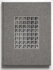 The Pictures Included in This Envelope by Andrea Ferrari [Hardback, 122 pages]