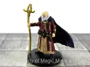 Rage of Demons ~ HUMAN WIZARD #14 Icons of the Realms D&D miniature mage
