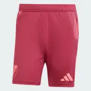 RIVER PLATE TRAINING SHORT 24/25 - ADIDAS IS5537 - ASK SIZE AVAILABLE