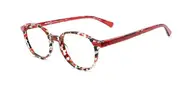 Etnia Barcelona Anvers RDBK Men's Glasses Tortoiseshell Size 48 - Private Health Rebate - Blue Light Block Available