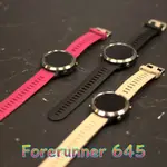 【嘎普】645鋼化玻璃保護貼 GARMIN FORERUNNER 645 /645MUSIC保貼一套兩張