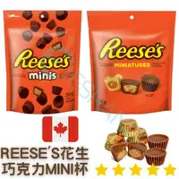 在飛比找蝦皮購物優惠-【義班迪】Reese’s minis peanut butt