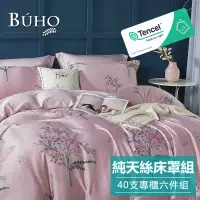 在飛比找博客來優惠-《BUHO》100%TENCEL純天絲六件式兩用被床罩組-雙