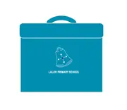 Teal Library Bag