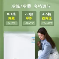 在飛比找樂天市場購物網優惠-冷凍櫃 小鴨冰柜家用大容量全冷凍小型冷柜保鮮箱冷藏冷凍兩用冰