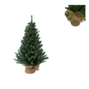 12 Miniature Pine Tree