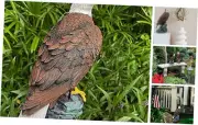 Garden Decor Sculptures Statues Outdoor, Stunning Bald Eagle Christmas On Stone