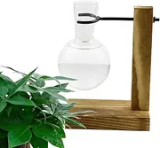 Propagation Vases for Plants - Propagating Station with Wooden Stand Propagate Plant Holder | Vase Jars, Glass Hydroponic Container for Women, Mom
