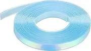 uxcell 5.47 Yards Silicone Lanyard String, 12mm Wide Bright Color Lacing Cord Laser Reflective Lanyard String for Crafts Weaving DIY Handmade Bracelets Clothes Keychain, Light Blue