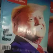 THE ECONOMIST MAGAZINE NOVEMBER 2024 DONALD TRUMP - WHAT COULD POSSIBLY GO WRONG