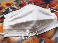 在飛比找Yahoo!奇摩拍賣優惠-口罩㍿收藏 新娘紡紗口罩 10入 蕾絲 真紗網 七彩圓點 紡