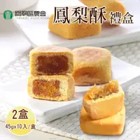 在飛比找鮮拾優惠-【關廟農會】鳳梨酥禮盒x2盒(45gx10入/盒；附提袋)