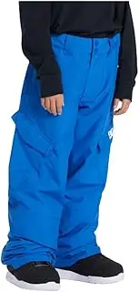 [DC] Shoes Boys' Blue Solid Snowboard Pants