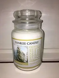 在飛比找Yahoo!奇摩拍賣優惠-【西寧鹿】YANKEE CANDLE 22OZ  frost