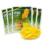 《 CHARA 微百貨 》 CEBU 菲律賓 芒果乾 芒果干160G MANGO 芒果 泰國 果乾 健康 團購