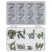 Jayair Valve Core Assortment Kit - CP9870