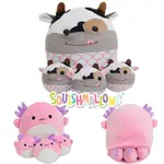 SQUISHMALLOW 蠑螈毛絨禮品套裝可愛的軟毛絨動物娃娃兒童聖誕禮物