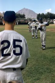 Shortstop Ernie Banks Of The Chicago Cubs 1957 Baseball OLD PHOTO 2