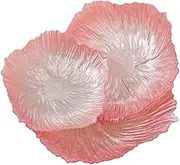 JISADER 3 Pieces Luxury Flower Glass Plate Entryway Key Bowl Salad Fruit Snack Tray for Cake Fruit