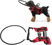 Blind Dog Halo Harness, Adjustable Blind Dog Harness Guiding Device Easy Fixation Blind Dog Accessories Collar for Blind Dogs (Red or Blue S/M) (M)