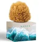 Natural Shower Sponge in Nice Box | Exfoliating Sea Sponge for Bath 4.5-6" | ...