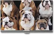 [VFMKT] Slim Metal Business Card Holder Portable Business Card Case Pocket Name Card Holder English Bulldogs Wallet for Men Women Office Travel, style, One Size