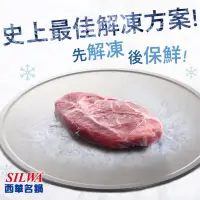 在飛比找蝦皮購物優惠-【思購易】公司貨 西華SILWA 節能冰霸極速解凍盤~保鮮解