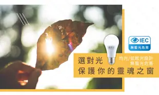 【免運保固兩年】舞光LED 16W LED燈泡 球泡燈 E27燈泡 燈泡 球泡 電燈泡 附發票 (6.7折)