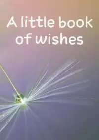 在飛比找博客來優惠-A little book of wishes