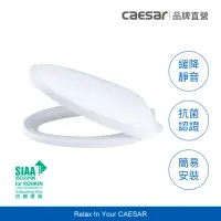 在飛比找momo購物網優惠-【CAESAR 凱撒衛浴】抗菌緩降馬桶蓋(通用型 / 不含安