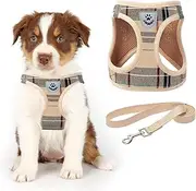 Zonadeals Soft Mesh Plaid Puppy Harness - Small Dog Harness and Leash Set, Adjustable & Comfortable Padded Reflective Vest for Puppies and Small Breeds Dogs Walking