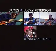 JSP Records If You Can't Fix It Audio CD