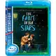 生命中的美好缺憾 THE FAULT IN OUR STARS 藍光BD(2014/11/14上市)***限量特價***