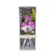 LED格紋香皂玫瑰禮盒花束-紫