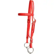 HORSE SIZE- READY MADE - Red WESTERN BRIDLE Made from BETA BIOTHANE