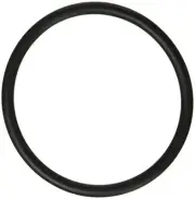 SX360Z1 Hayward Pro Series Bulkhead