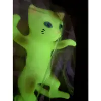 在飛比找蝦皮購物優惠-現貨 Sunguts 踊貓 跳舞貓 dancing cat 