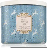 Bath & Body Works Fresh Winter Air scented candle 411 g