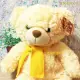 【TEDDY HOUSE泰迪熊】泰迪熊玩具玩偶公仔絨毛娃娃胖胖可愛鵝黃泰迪熊(正版泰迪熊)