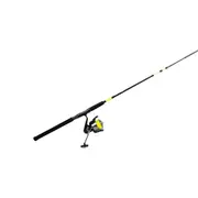 Daiwa Blast Spinning Combo